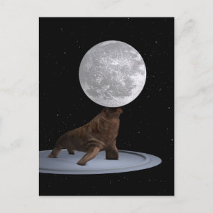 Carte Postale Walrus Équilibrer La Lune
