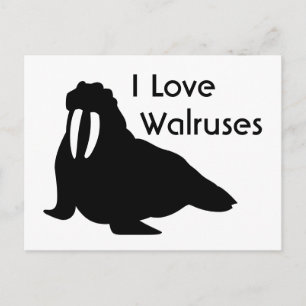Carte postale Walrus Love