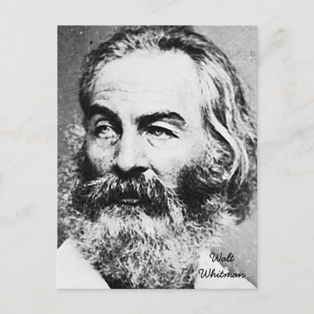 Carte Postale Walt Whitman (Devant)