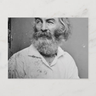 Carte Postale Walt Whitman