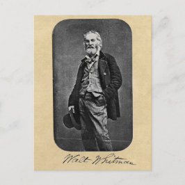 Carte Postale Walt Whitman Age 41 Portrait