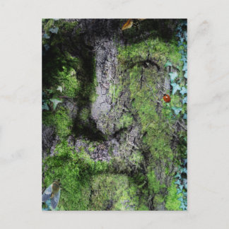 Carte Postale "Walt Whitman : L'homme vert"