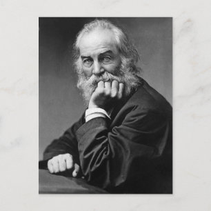Carte Postale Walt Whitman "Visez toujours vers le soleil"