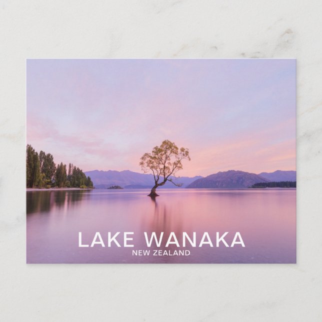 Carte Postale Wanaka Tree Sunrise Nature Travel (Devant)