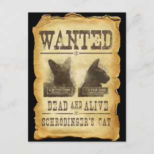Carte Postale Wanted dead and alive.  Chroedinger's cat.