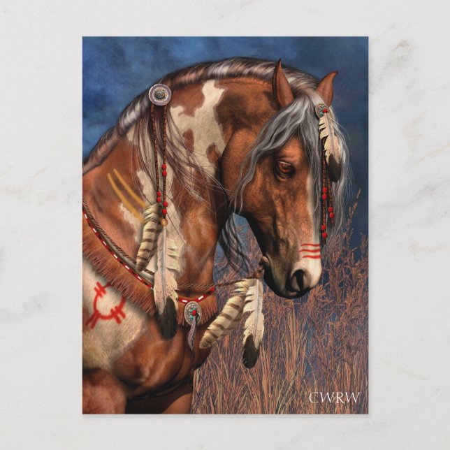 Carte postale War Pony (Devant)