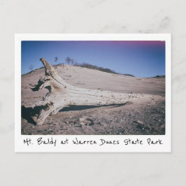 Carte Postale Warren Dunes State Park Mt. Baldy Michigan