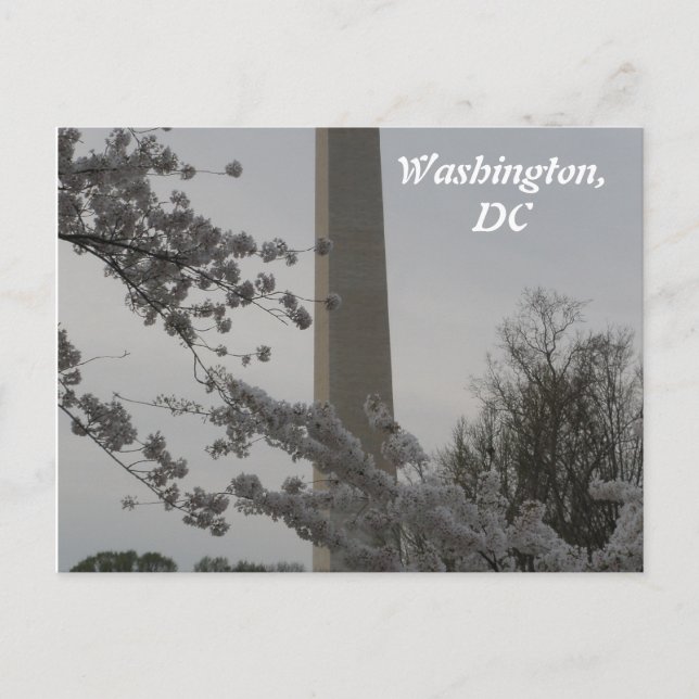 Carte postale Washington, DC (Devant)