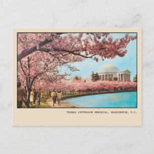 Carte Postale Washington DC Jefferson Memorial Cherry Blossoms