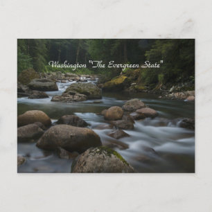 Carte Postale Washington "L'Etat À feuillage persistant"