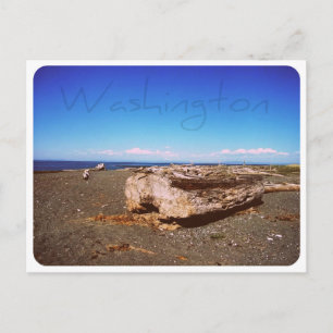 Carte Postale Washington State Seashore : Photo