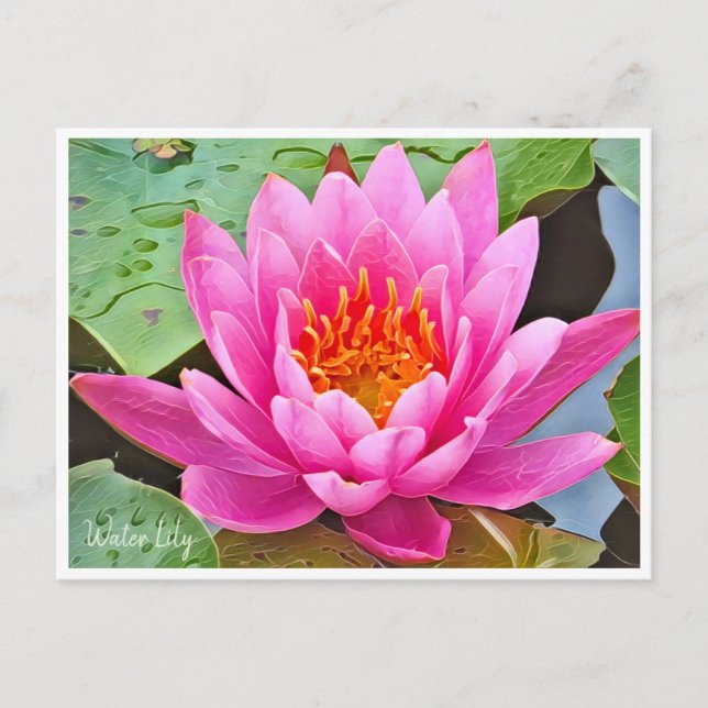 Carte Postale Water Lily ポストカード (Devant)