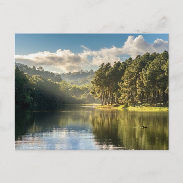 Carte Postale Water | Pang Oung Lake & Pine Forest Thailand (Devant)