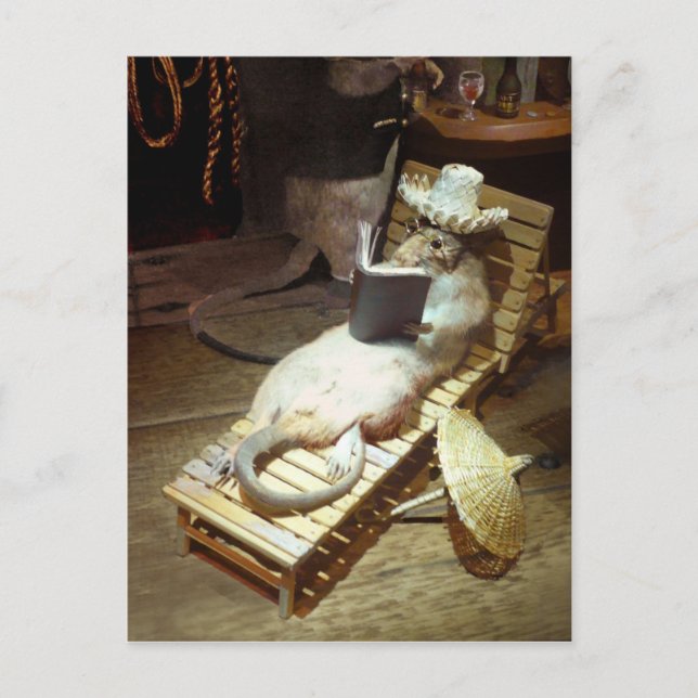 Carte Postale Water Rat profiter de Shiboard Life (Devant)