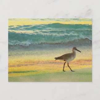 Carte Postale Watercolor Beach Sunset avec Sandpiper