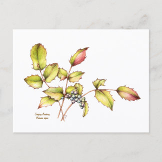 Carte Postale Watercolor wildflower barberry postcard