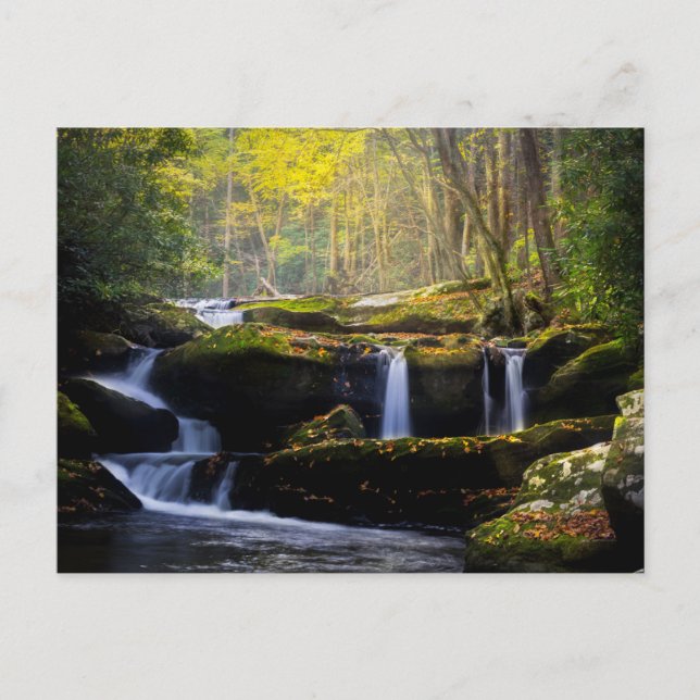 Carte Postale Waterfalls | Great Smoky Mountain National Park (Devant)