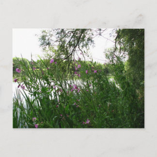 Carte postale Watermead Country Park