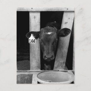 Carte Postale Weané