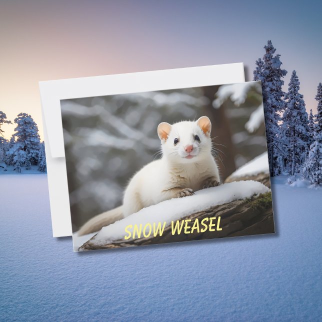 Carte Postale Weasel de neige pondu sur roche (Créateur téléchargé)
