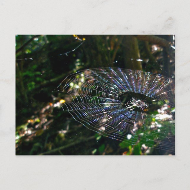Carte postale Web Leugauge Orb (Devant)