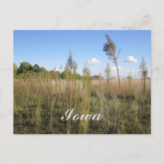 Carte Postale Weeds, Trees et Sky Iowa