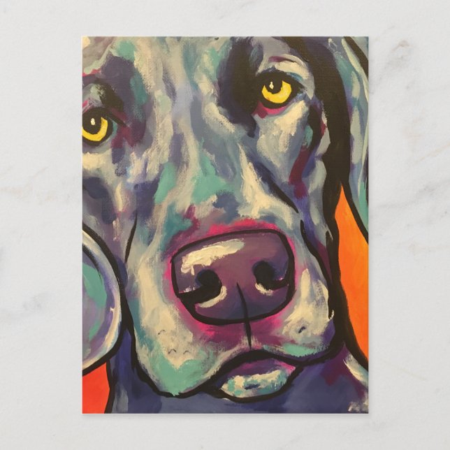 Carte Postale weimaraner (Devant)