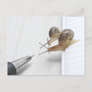 Carte Postale We'll help you study