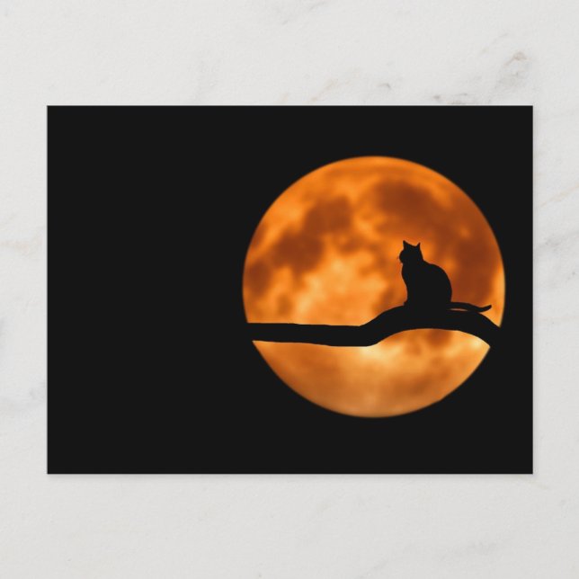 Carte Postale Werecat pleine lune (Devant)