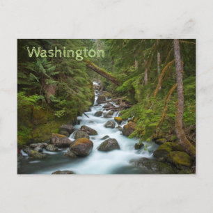 Carte Postale West Fork Foss River Washington