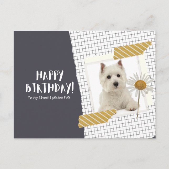 Carte Postale West Highland White Terrier (Devant)