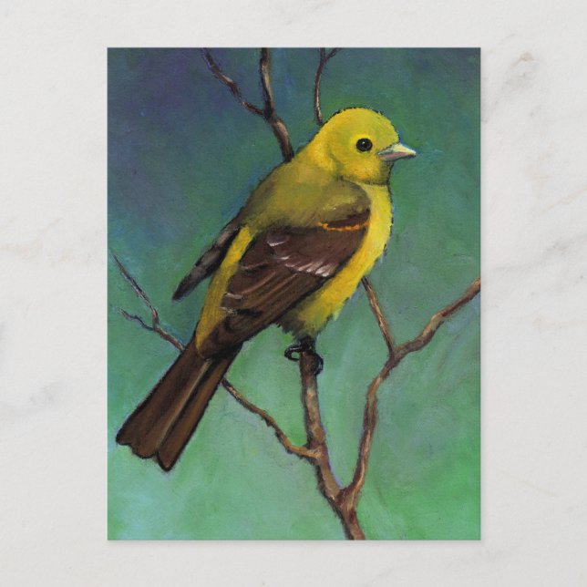 Carte Postale Western Tanager : Oiseau à l'huile Pastel (Devant)