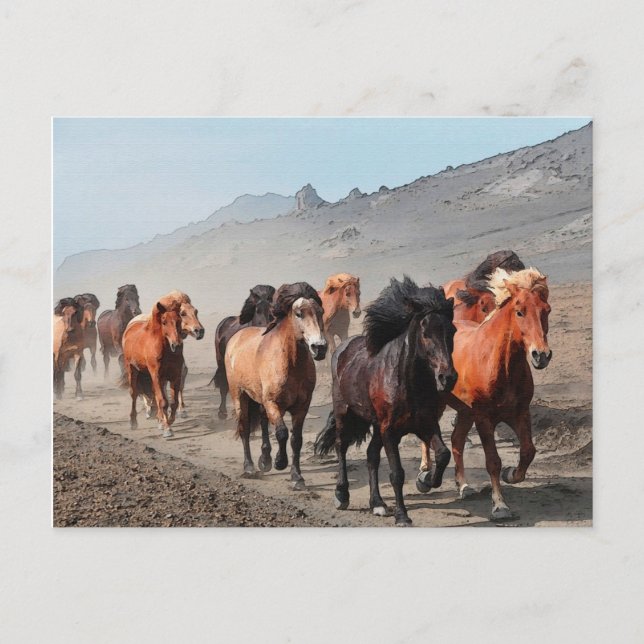 Carte Postale Western Trail (Devant)