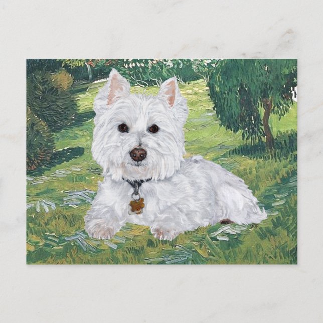 Carte postale Westie (Devant)