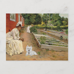 Carte postale Westie