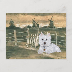 Carte Postale Westie avec des moulins à vent
