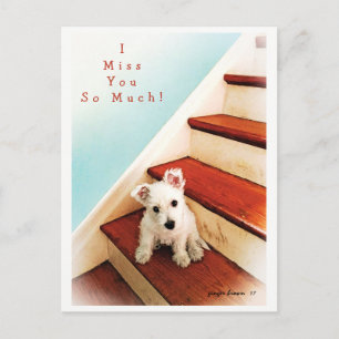 Carte Postale Westie Puppy On Step Missing You ! n° 2