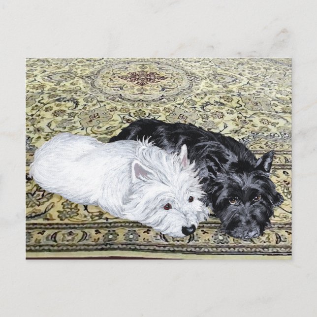 Carte Postale Westie & Scottie at Ease (Devant)