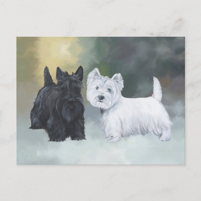 Carte Postale Westie Scottie hiver (Devant)