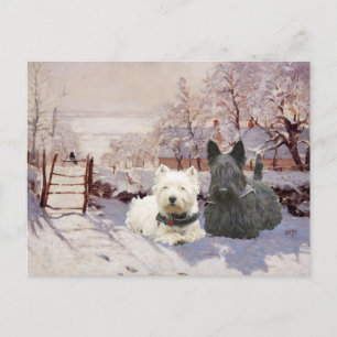 Carte Postale Westie & Scottie Winter Magpie