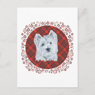 Carte Postale Westie sur Tartan