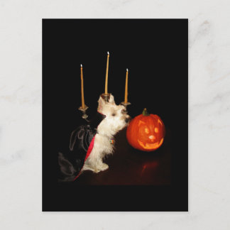 Carte Postale Westie Vampire Dracula