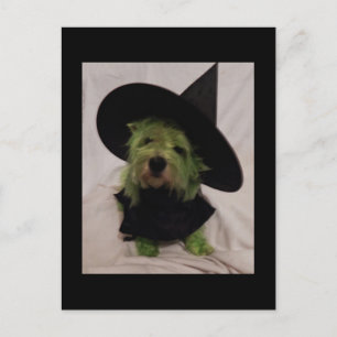 Carte Postale Westie - Wicked Witch of the Westies