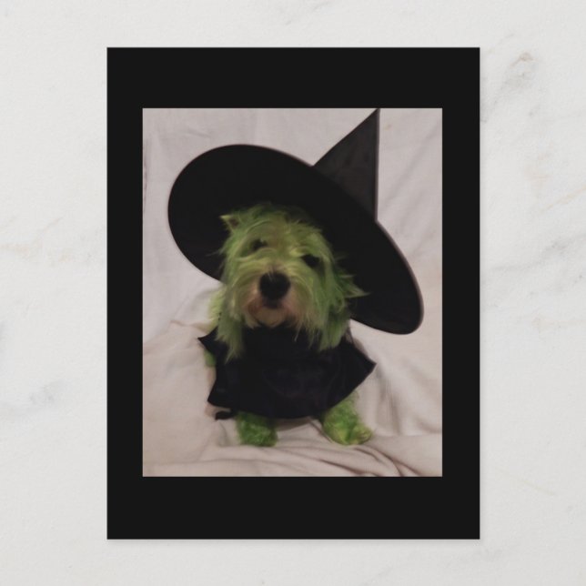 Carte Postale Westie - Wicked Witch of the Westies (Devant)