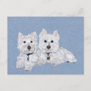 Carte postale Westies
