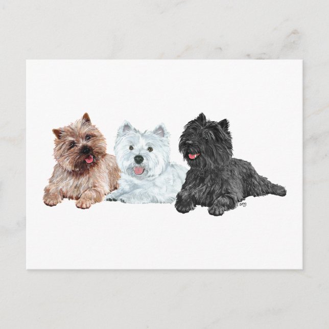 Carte Postale Westin avec deux Cairn Terriers (Devant)