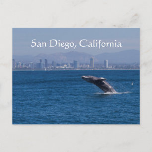 Carte Postale Whale et San Diego