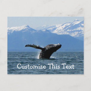 Carte Postale Whale Playtime ; Personnalisable