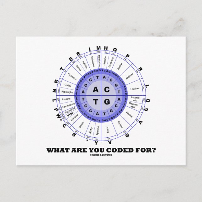 Carte Postale What Are You Coded For ? (Amino Acid Wheel) (Devant)