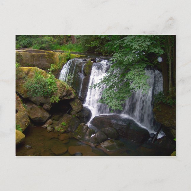 Carte Postale Whatcom Falls (Devant)